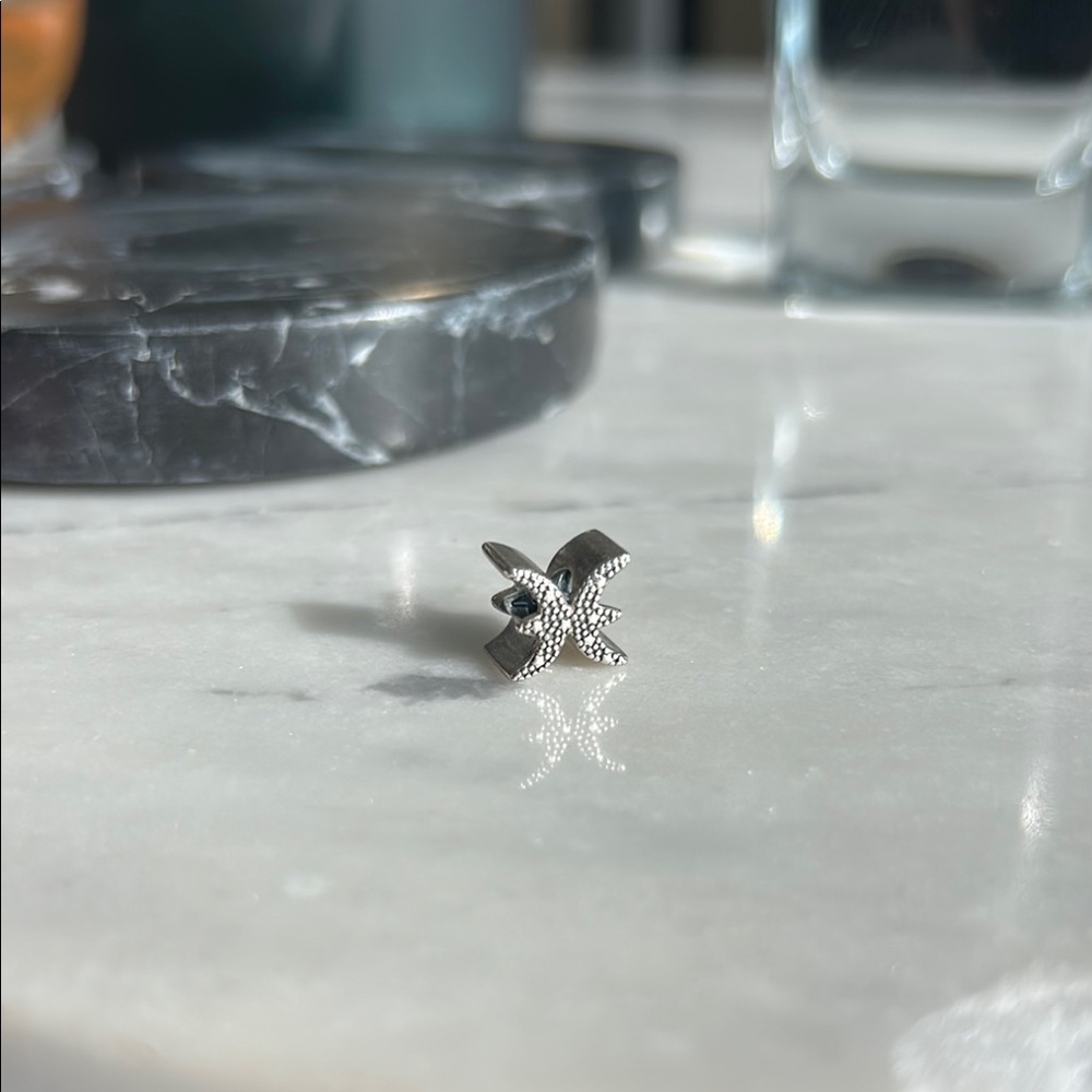 Sterling Silver Zodiac Pisces Pandora Charm